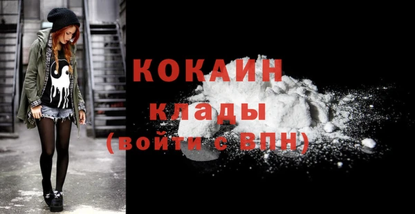 spice Богородицк