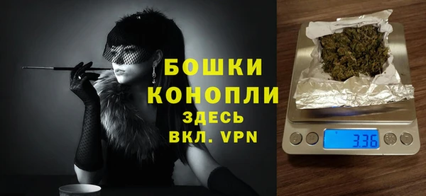 spice Богородицк