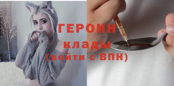 spice Богородицк