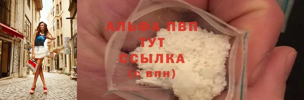 spice Богородицк