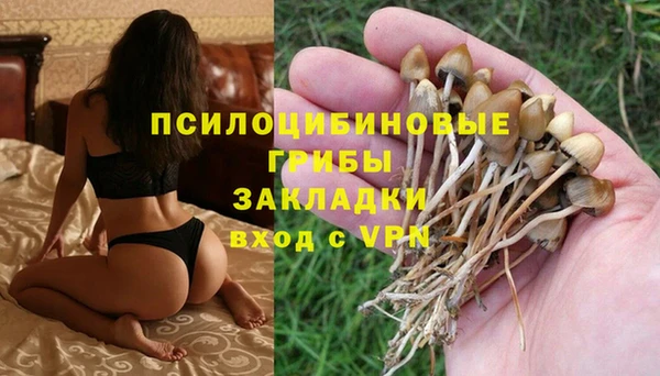 spice Богородицк