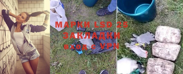 spice Богородицк