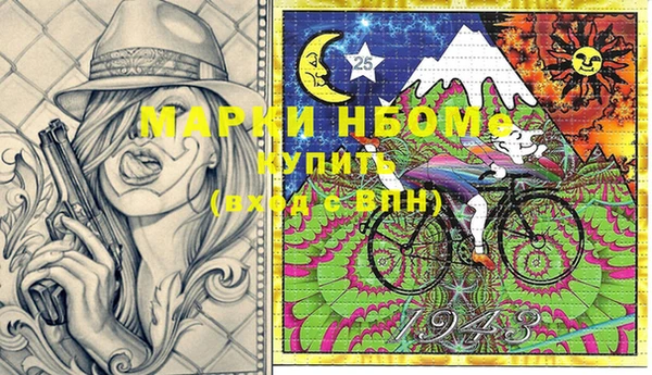 spice Богородицк