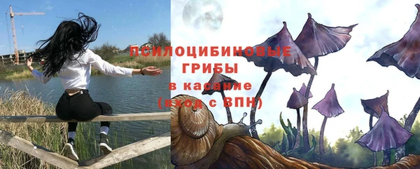 spice Богородицк
