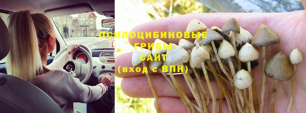 spice Богородицк